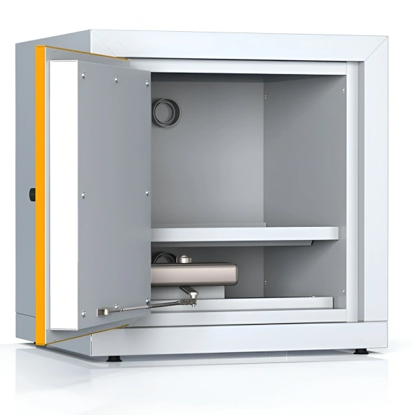 Шкаф для хранения ЛВЖ SAFE 10/600